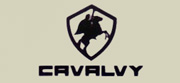 CAVALVY